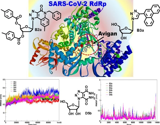Publication image: Bag*, S. S.; Sinha, S.; Dutta, S.; Baishya, H. J.; Paul, S.. Targeting the SARS-CoV-2 RNA-dependent RNA polymerase (RdRp) with synthetic/designer unnatural nucleoside analogs: an in silico study. J. Mol. Model. 2023, 29 (12), 366
